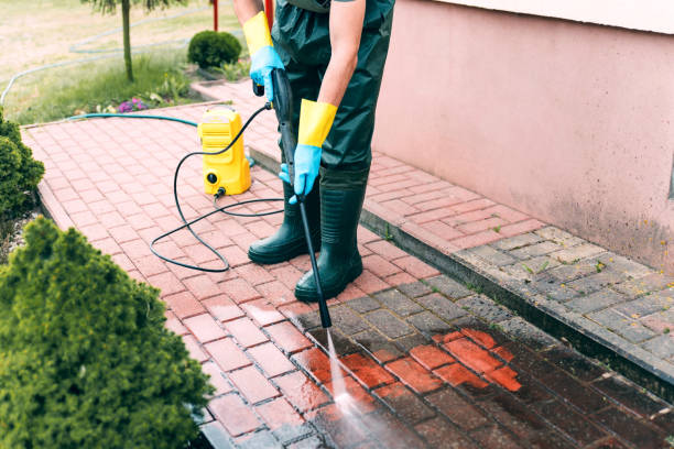 Best Pressure Washing Company Near Me  in Braddock, VA