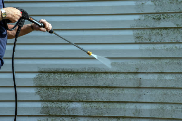 Best Deck Cleaning Services  in Braddock, VA